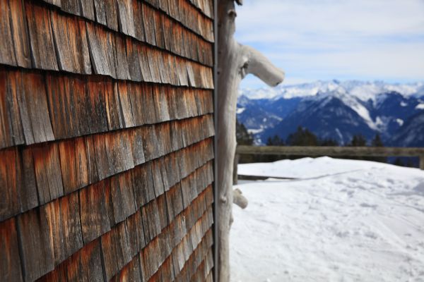 Cedar Siding Repair in Parker