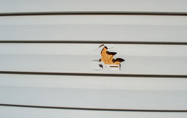 Siding Hole Patching in Parker
