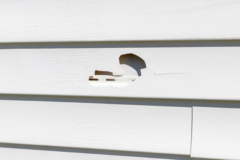 Patch and Repair of Vinyl Siding